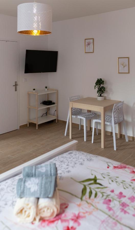 Loc Trotteur Le Pivoine Studio Grand Confort, Gare Sncf De ルルド エクステリア 写真